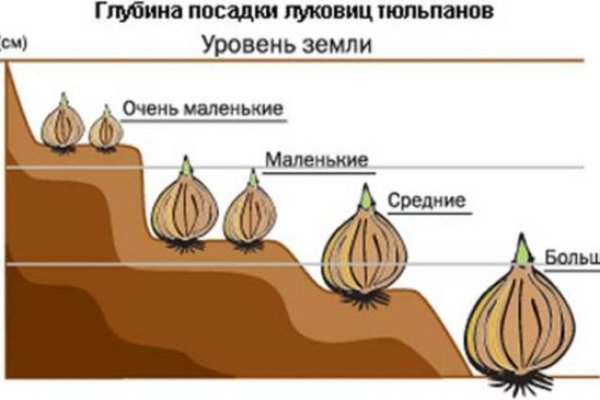 2krn at официальный