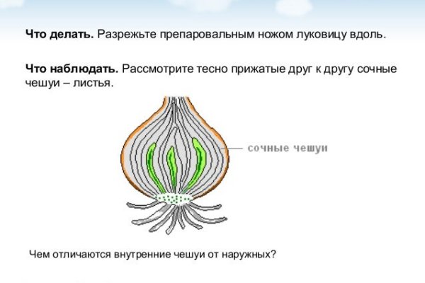 Кракен гидра даркнет